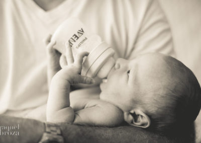 newborn lion