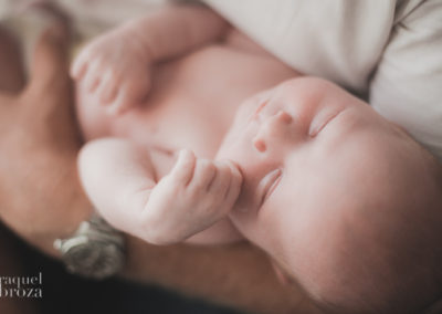 newborn lion