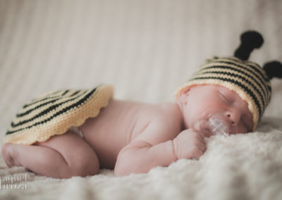 newborn lion